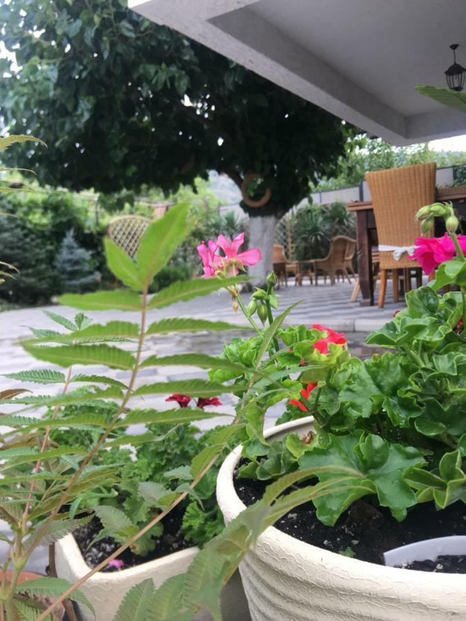 My Garden Hotel Tbilisi Exterior foto